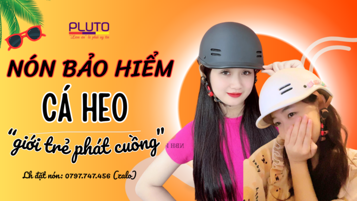 nón bảo hiểm cá heo
